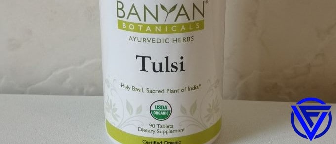 Holy Basil For A Deeper Sleep And Insomnia? (My Experimental Review)