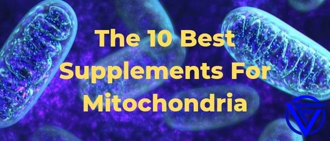 10 Best Supplements For Mitochondrial Support (That Actually Work)