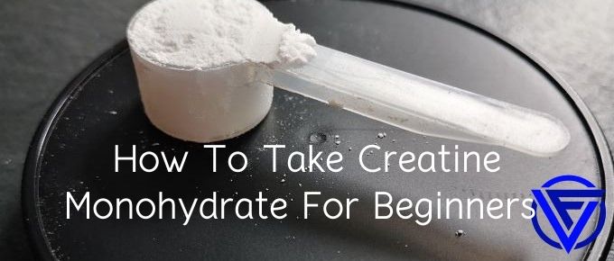 How To Take Creatine Monohydrate For Beginners (Ultimate Guide)