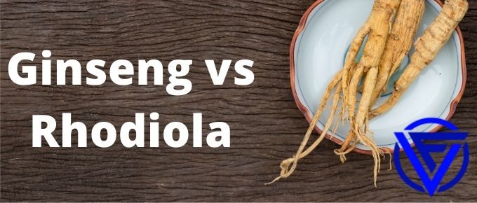 ginseng vs rhodiola