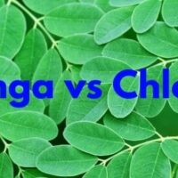 moringa vs chlorella