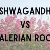 ashwagandha vs valerian root