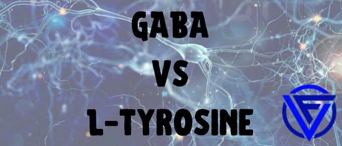 GABA vs L-Tyrosine – Which One Should You Take?
