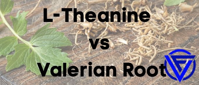 L-Theanine vs Valerian Root – Which One Should You Take?