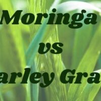 moringa vs barley grass
