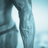A veiny muscular forearm of a male bodybuilder