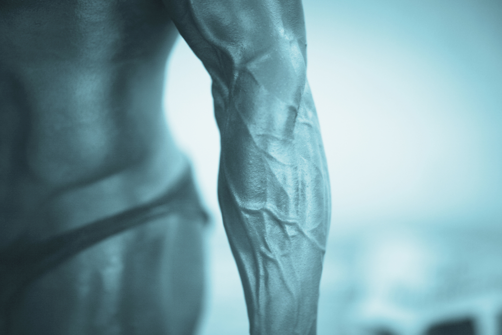 A veiny muscular forearm of a male bodybuilder