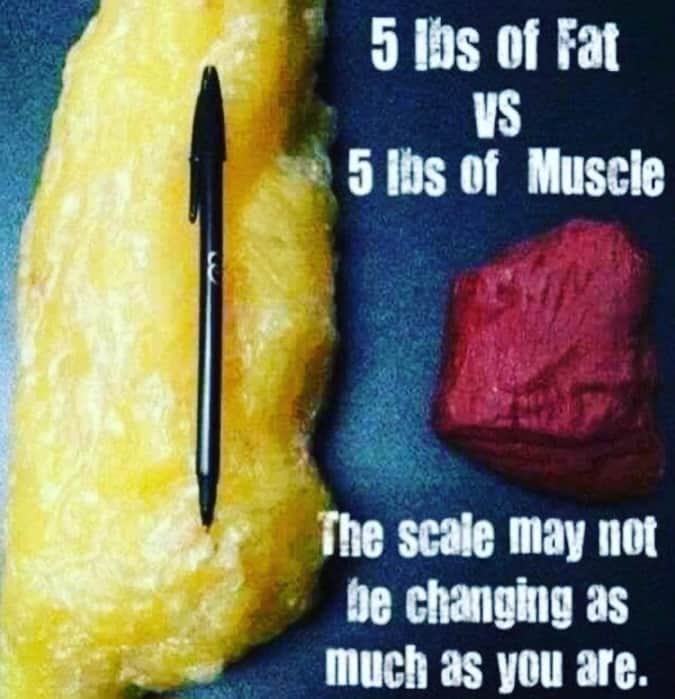 5 lbs of fat vs muscle